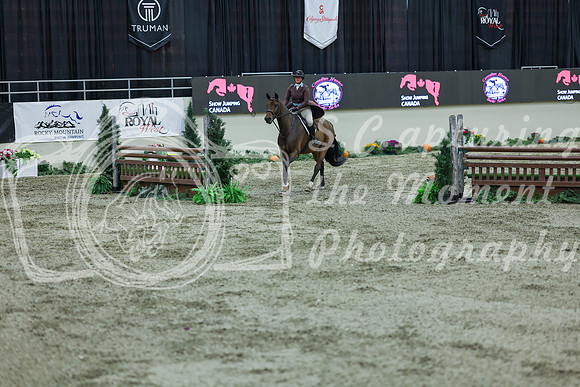 2025 - Shea - Royal West - Saturday October 18th - 07091
