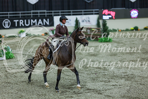 2025 - Shea - Royal West - Saturday October 18th - 07096
