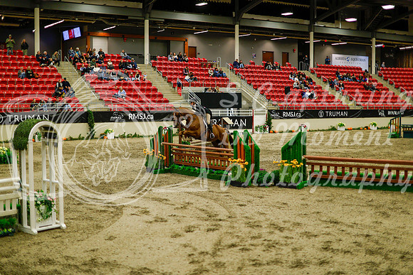 2025 - Haylee - Royal West - Saturday October 18th - 08974