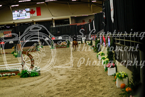 2025 - Haylee - Royal West - Saturday October 18th - 08976