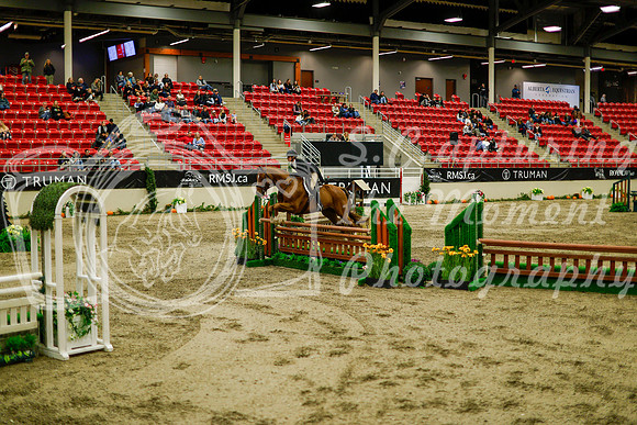 2025 - Haylee - Royal West - Saturday October 18th - 08975