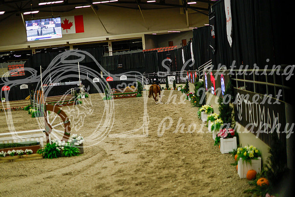 2025 - Haylee - Royal West - Saturday October 18th - 08977