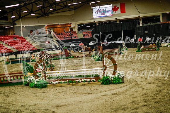 2025 - Haylee - Royal West - Saturday October 18th - 08979