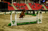 2025 - Haylee - Royal West - Saturday October 18th - 08981