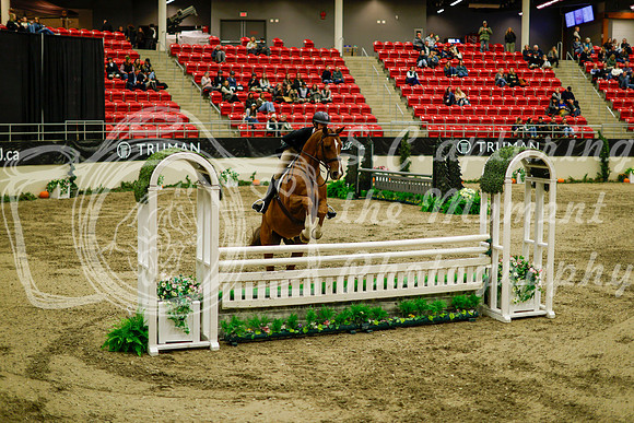 2025 - Haylee - Royal West - Saturday October 18th - 08981