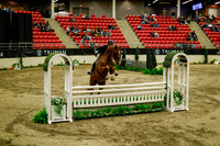 2025 - Haylee - Royal West - Saturday October 18th - 08982