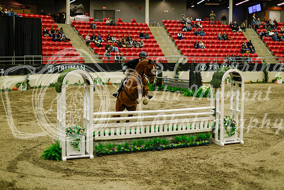 2025 - Haylee - Royal West - Saturday October 18th - 08982