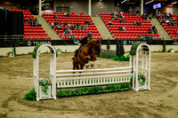 2025 - Haylee - Royal West - Saturday October 18th - 08983