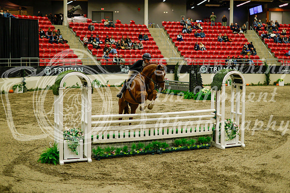 2025 - Haylee - Royal West - Saturday October 18th - 08983