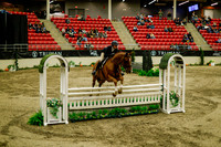 2025 - Haylee - Royal West - Saturday October 18th - 08984