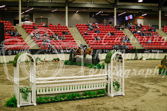 2025 - Haylee - Royal West - Saturday October 18th - 08987