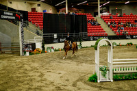 2025 - Haylee - Royal West - Saturday October 18th - 08989