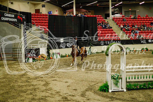 2025 - Haylee - Royal West - Saturday October 18th - 08989