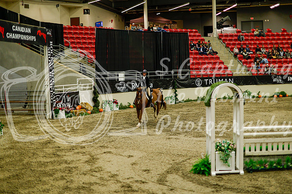 2025 - Haylee - Royal West - Saturday October 18th - 08990