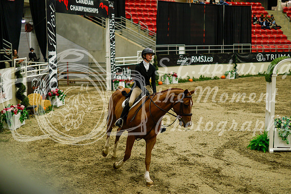 2025 - Haylee - Royal West - Saturday October 18th - 08991