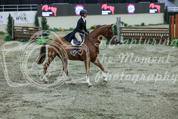 2025 - Shea - Royal West - Saturday October 18th - 07538