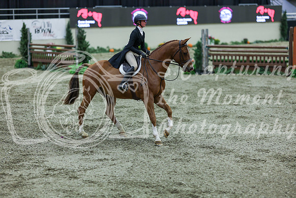 2025 - Shea - Royal West - Saturday October 18th - 07537