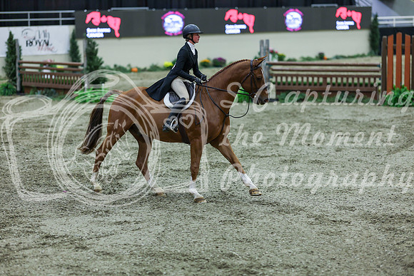 2025 - Shea - Royal West - Saturday October 18th - 07539