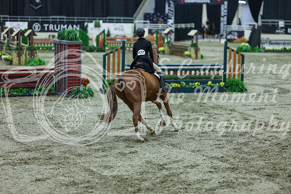 2025 - Shea - Royal West - Saturday October 18th - 07540
