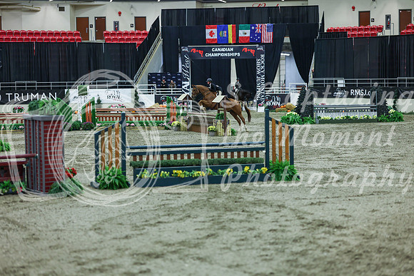 2025 - Shea - Royal West - Saturday October 18th - 07543