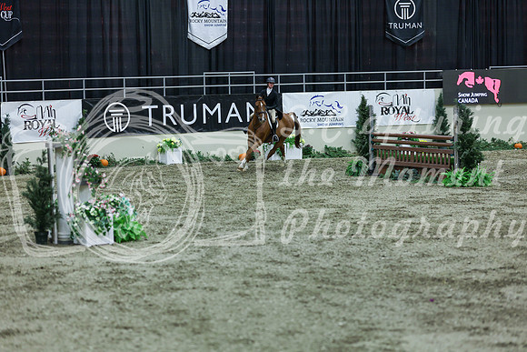 2025 - Shea - Royal West - Saturday October 18th - 07545