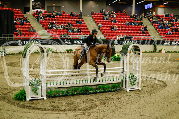 2025 - Haylee - Royal West - Saturday October 18th - 08623