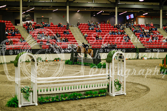 2025 - Haylee - Royal West - Saturday October 18th - 08626