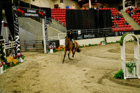 2025 - Haylee - Royal West - Saturday October 18th - 08629