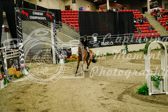 2025 - Haylee - Royal West - Saturday October 18th - 08629