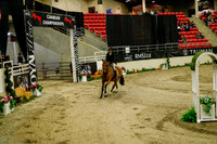2025 - Haylee - Royal West - Saturday October 18th - 08630