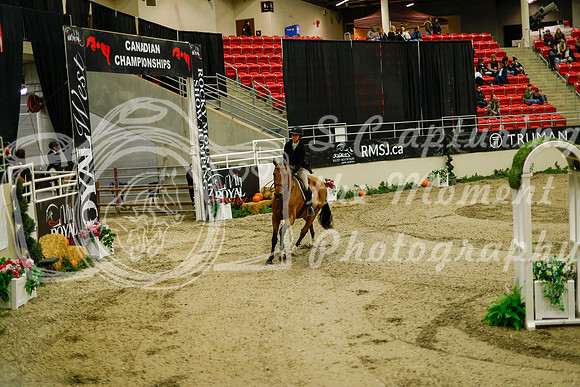 2025 - Haylee - Royal West - Saturday October 18th - 08630