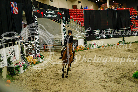 2025 - Haylee - Royal West - Saturday October 18th - 08632