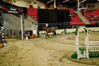 2025 - Haylee - Royal West - Saturday October 18th - 08637