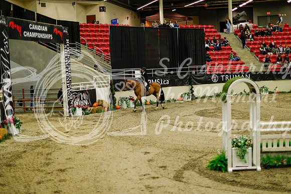 2025 - Haylee - Royal West - Saturday October 18th - 08637