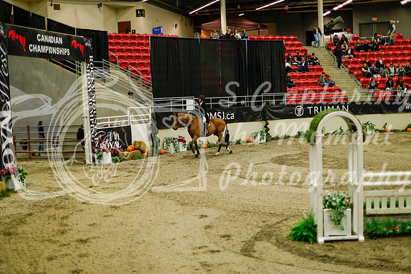 2025 - Haylee - Royal West - Saturday October 18th - 08636