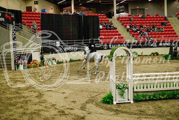 2025 - Haylee - Royal West - Saturday October 18th - 08958