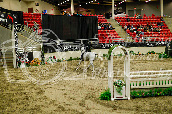 2025 - Haylee - Royal West - Saturday October 18th - 08959