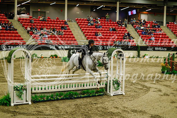 2025 - Haylee - Royal West - Saturday October 18th - 08963
