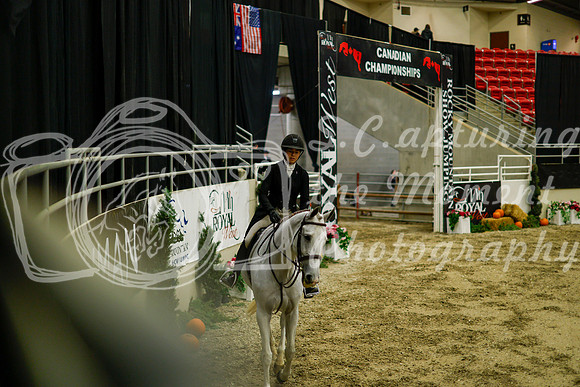2025 - Haylee - Royal West - Saturday October 18th - 08968