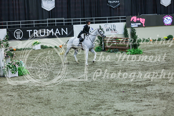2025 - Shea - Royal West - Saturday October 18th - 07503