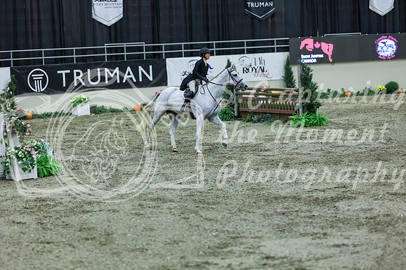 2025 - Shea - Royal West - Saturday October 18th - 07504