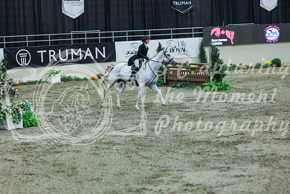 2025 - Shea - Royal West - Saturday October 18th - 07505