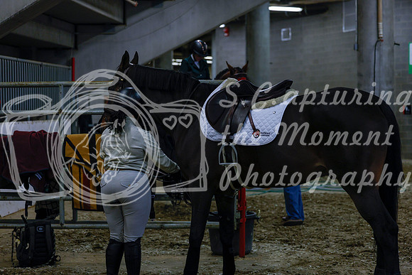 2025 - Haylee - Royal West - Saturday October 18th - 03081