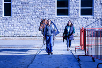 2025 - Haylee - Royal West - Saturday October 18th - 03085