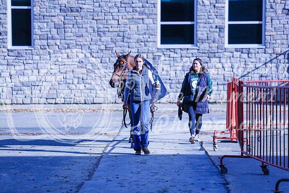2025 - Haylee - Royal West - Saturday October 18th - 03085