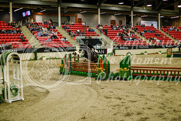 2025 - Haylee - Royal West - Saturday October 18th - 08640
