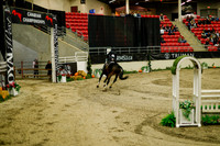 2025 - Haylee - Royal West - Saturday October 18th - 08643