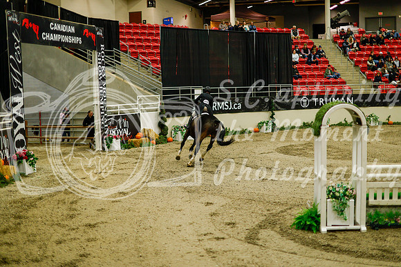 2025 - Haylee - Royal West - Saturday October 18th - 08643