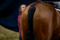 2025 - Haylee - Royal West - Saturday October 18th - 03097