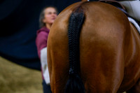 2025 - Haylee - Royal West - Saturday October 18th - 03098